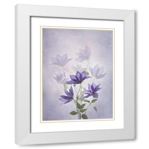 Purple Clematis White Modern Wood Framed Art Print with Double Matting by L., Binbin