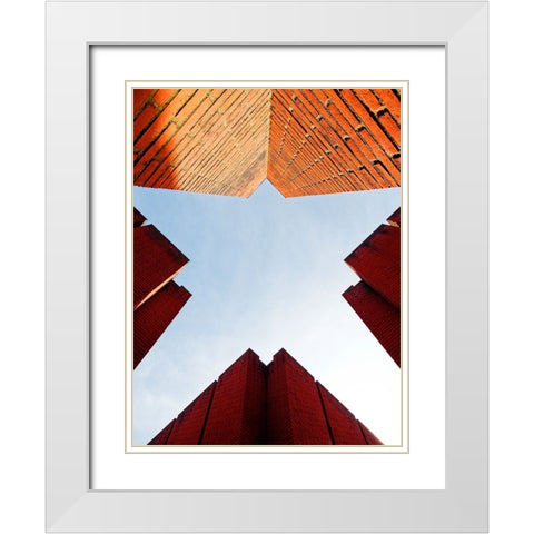 Its a Bird... Its a Plane... Its... White Modern Wood Framed Art Print with Double Matting by Surleac, Marius