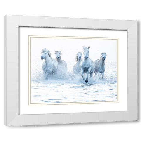 Horses on the Run White Modern Wood Framed Art Print with Double Matting by Zvelebil Phd, Marketa