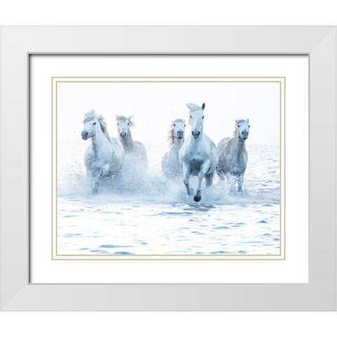 Horses on the Run White Modern Wood Framed Art Print with Double Matting by Zvelebil Phd, Marketa