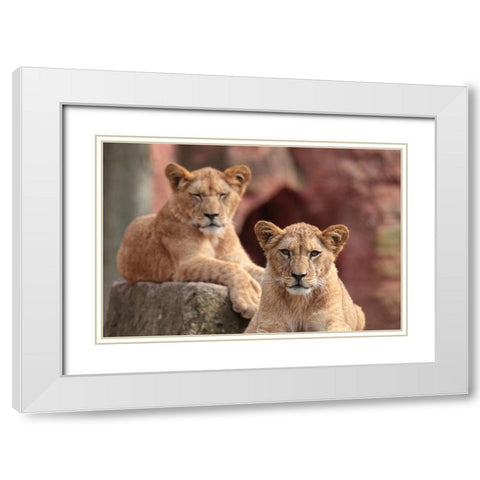 SISTERS White Modern Wood Framed Art Print with Double Matting by Wenner-Braun, Antje