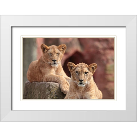 SISTERS White Modern Wood Framed Art Print with Double Matting by Wenner-Braun, Antje