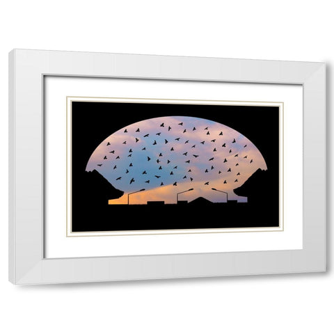 Homeward Bound White Modern Wood Framed Art Print with Double Matting by Nayyer Reza, Sayyed