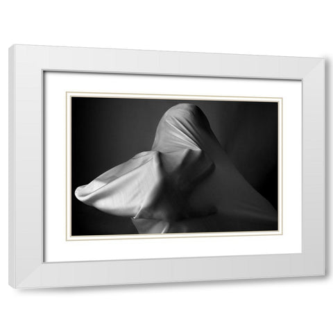 Fanatic White Modern Wood Framed Art Print with Double Matting by Arabzadeh, Abbas