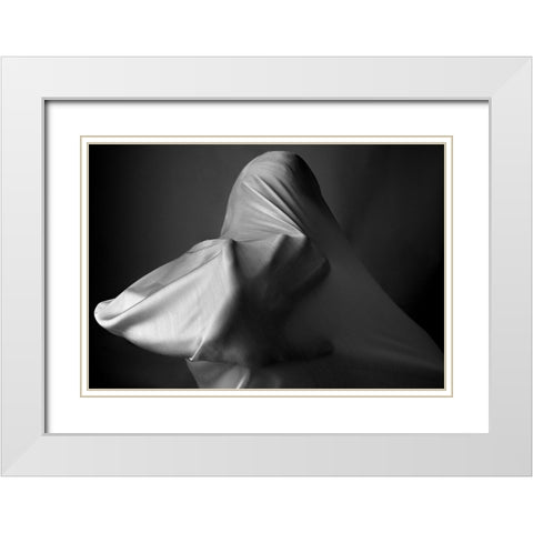 Fanatic White Modern Wood Framed Art Print with Double Matting by Arabzadeh, Abbas