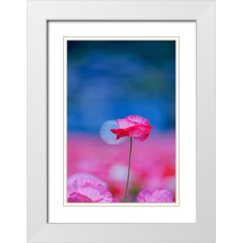 Untitled White Modern Wood Framed Art Print with Double Matting by Nakada, Chisho