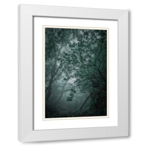 Fogaforest White Modern Wood Framed Art Print with Double Matting by Yamashita, Takafumi