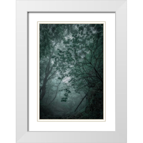 Fogaforest White Modern Wood Framed Art Print with Double Matting by Yamashita, Takafumi