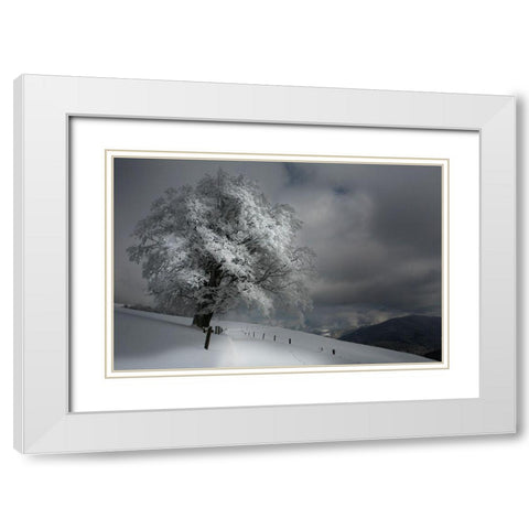 Schneeweg White Modern Wood Framed Art Print with Double Matting by Schumacher, Nicolas
