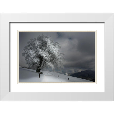 Schneeweg White Modern Wood Framed Art Print with Double Matting by Schumacher, Nicolas
