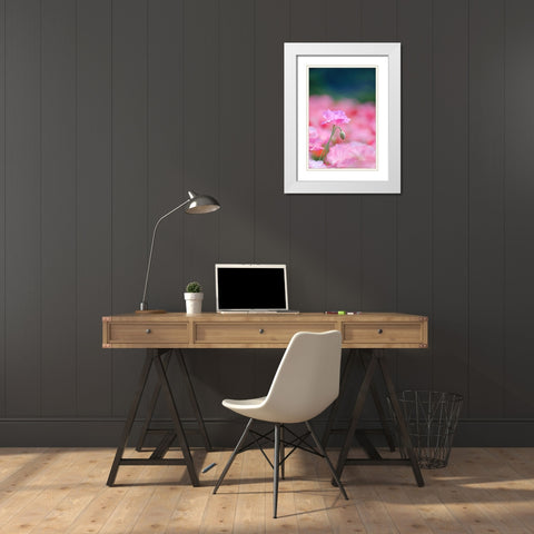 Untitled White Modern Wood Framed Art Print with Double Matting by Nakada, Chisho
