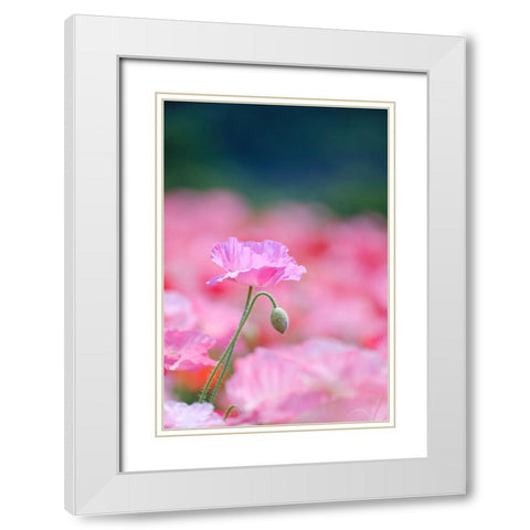 Untitled White Modern Wood Framed Art Print with Double Matting by Nakada, Chisho