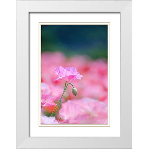 Untitled White Modern Wood Framed Art Print with Double Matting by Nakada, Chisho