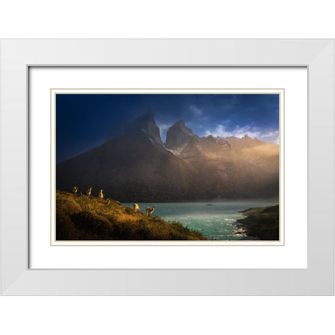 Immersing  in the golden lights White Modern Wood Framed Art Print with Double Matting by Li, Bing