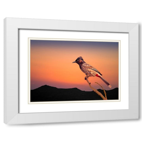 Bulbul White Modern Wood Framed Art Print with Double Matting by Nayyer Reza, Sayyed