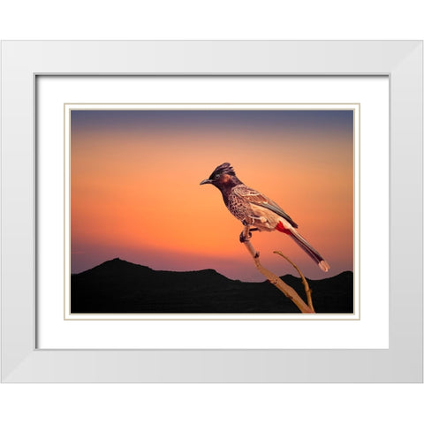 Bulbul White Modern Wood Framed Art Print with Double Matting by Nayyer Reza, Sayyed