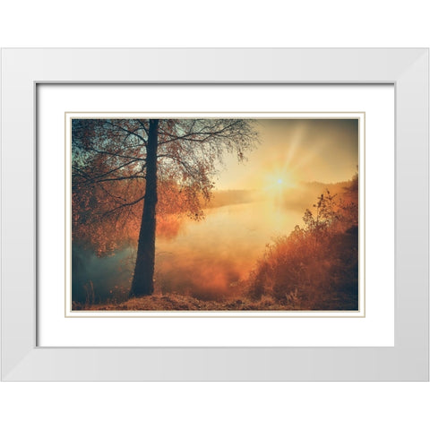 Gold of the fall White Modern Wood Framed Art Print with Double Matting by Kado, Pawel