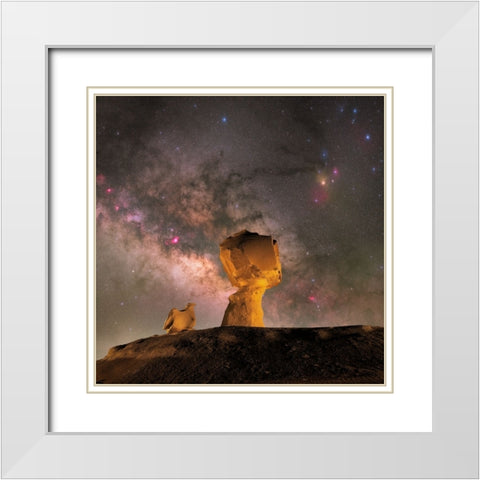 Mushroom White Modern Wood Framed Art Print with Double Matting by Chander, Vikas