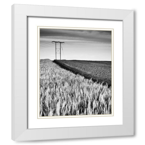 Two-tone White Modern Wood Framed Art Print with Double Matting by Jones-Davies, Russell