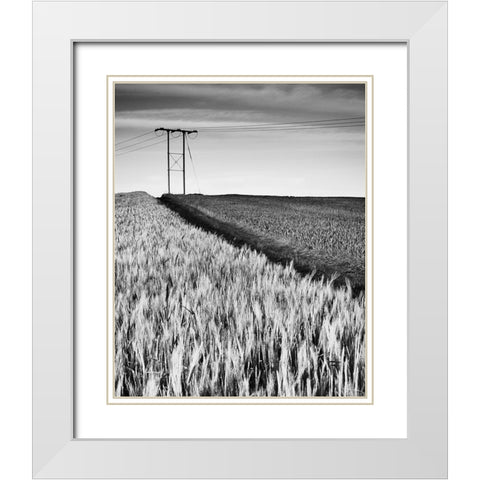 Two-tone White Modern Wood Framed Art Print with Double Matting by Jones-Davies, Russell