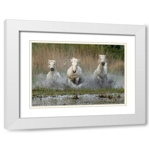 Coming in  to the dry White Modern Wood Framed Art Print with Double Matting by Zvelebil PhD, Marketa