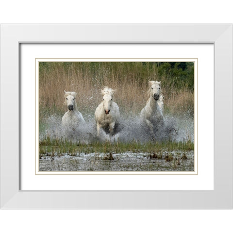 Coming in  to the dry White Modern Wood Framed Art Print with Double Matting by Zvelebil PhD, Marketa