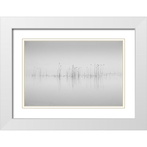 Simplicity White Modern Wood Framed Art Print with Double Matting by Pettersson, Benny