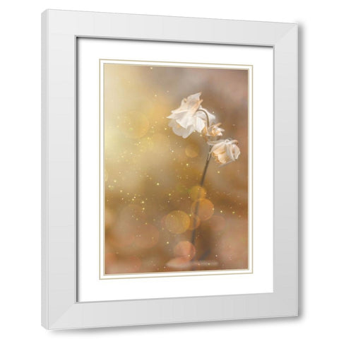 Golden Hour White Modern Wood Framed Art Print with Double Matting by Kiral, Cicek