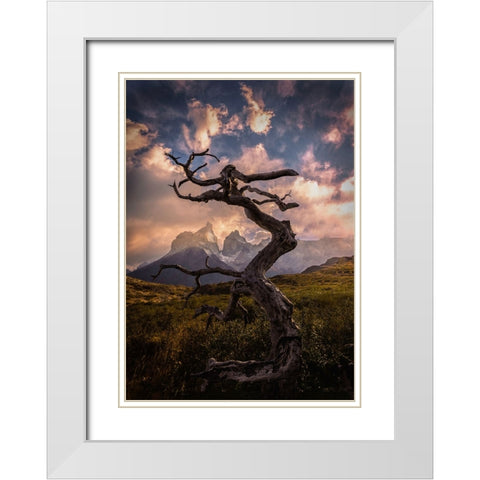 Dead Tree White Modern Wood Framed Art Print with Double Matting by Zhang, Dennis
