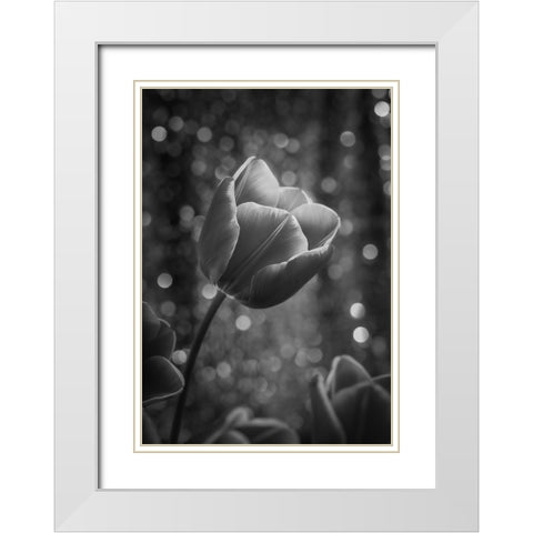 Greta Garbo White Modern Wood Framed Art Print with Double Matting by Irene Sattrup, Dorte