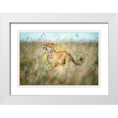 Secret Way White Modern Wood Framed Art Print with Double Matting by Roshkumar