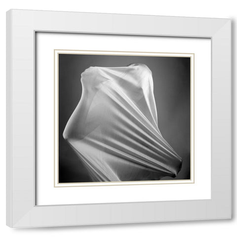 In the cocoon White Modern Wood Framed Art Print with Double Matting by Arabzadeh, Abbas