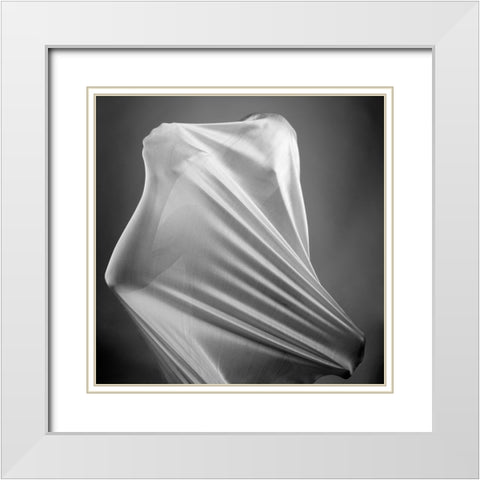 In the cocoon White Modern Wood Framed Art Print with Double Matting by Arabzadeh, Abbas