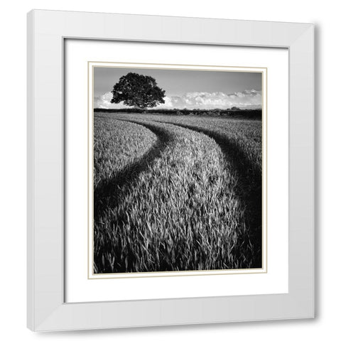 Tree at sunset White Modern Wood Framed Art Print with Double Matting by Jones-Davies, Russell