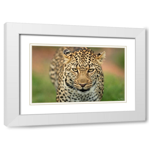 Fearless .... White Modern Wood Framed Art Print with Double Matting by Roshkumar