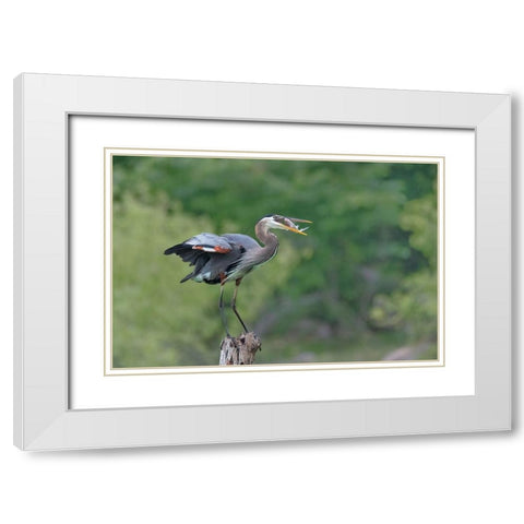 A Good Place To Enjoy The Meal White Modern Wood Framed Art Print with Double Matting by Xu, Sheila