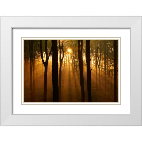 Muziekbos White Modern Wood Framed Art Print with Double Matting by Baekelandt, Luc