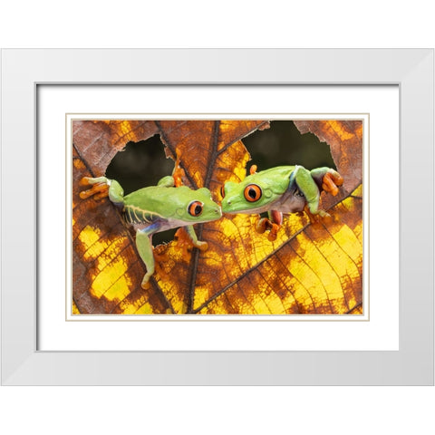 Morning Kiss White Modern Wood Framed Art Print with Double Matting by Prijasambada