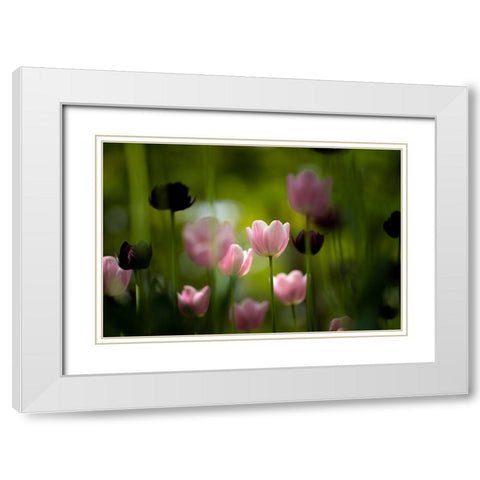 Tulips White Modern Wood Framed Art Print with Double Matting by Kazumasa, Kondou