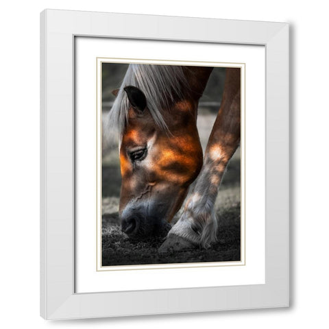 Filtered Light White Modern Wood Framed Art Print with Double Matting by Wilson, Francis