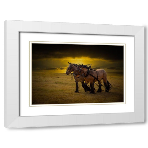 Horse III White Modern Wood Framed Art Print with Double Matting by Philippe, Laruelle