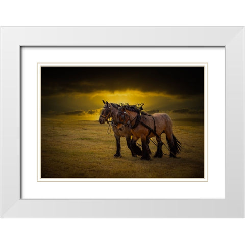 Horse III White Modern Wood Framed Art Print with Double Matting by Philippe, Laruelle