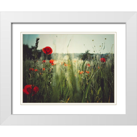Spirit of the fields White Modern Wood Framed Art Print with Double Matting by Margau, Delphine