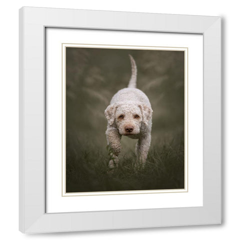 The Stalker White Modern Wood Framed Art Print with Double Matting by Kuplenk, Nika