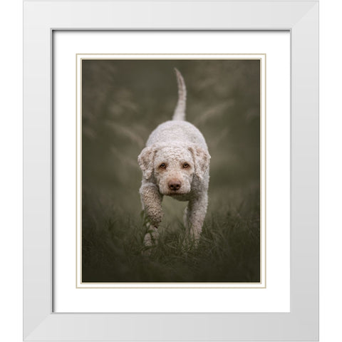 The Stalker White Modern Wood Framed Art Print with Double Matting by Kuplenk, Nika