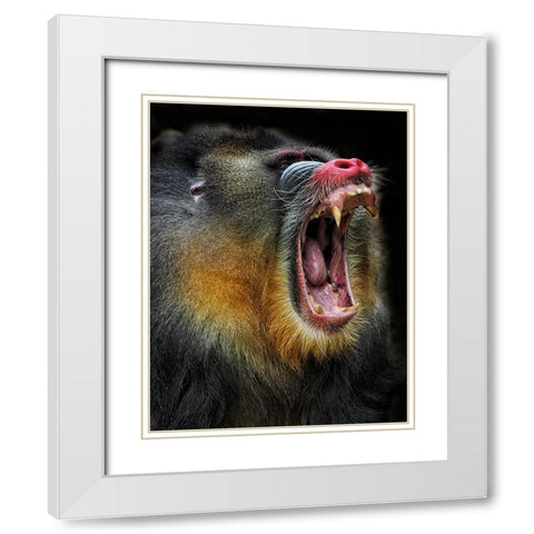 Yawn White Modern Wood Framed Art Print with Double Matting by Satria Said, Asa