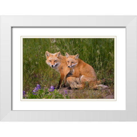 Love White Modern Wood Framed Art Print with Double Matting by W, Joanna