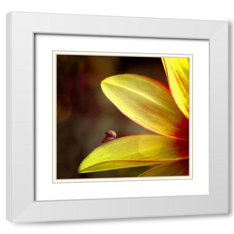 Untitled White Modern Wood Framed Art Print with Double Matting by Cseresnjes, Anna