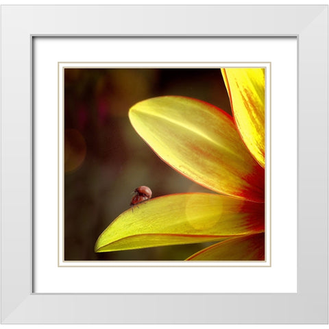 Untitled White Modern Wood Framed Art Print with Double Matting by Cseresnjes, Anna