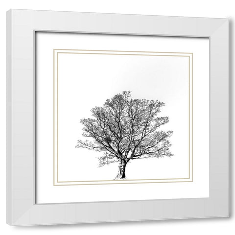 Overflowing vitality. White Modern Wood Framed Art Print with Double Matting by Hisamitsu, Yuusuke